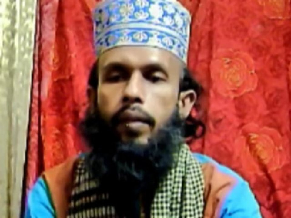 Artemisia  vulgaris  Homeopathic  Materia  Medica  Lecture  Dr  Bashir  Mahmud  Ellias