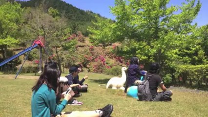 5-12ドキュメンタリー