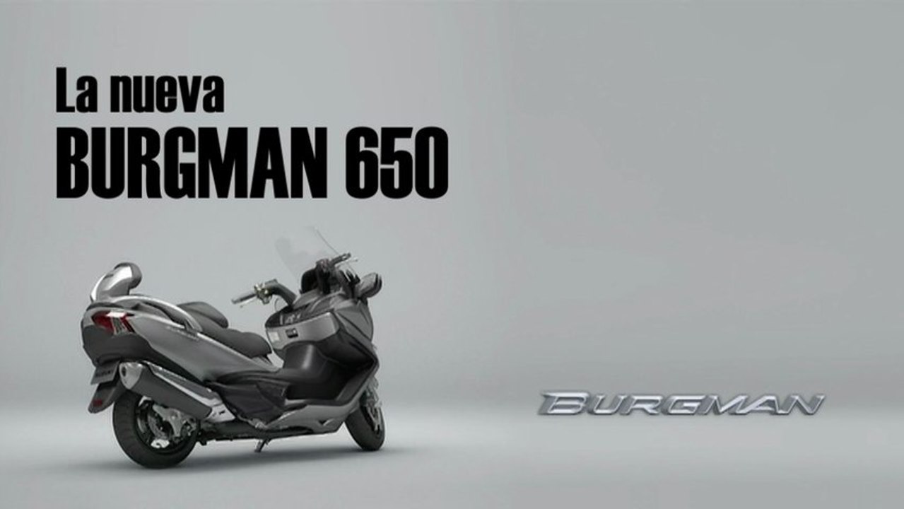 Suzuki Burgman 650  2013