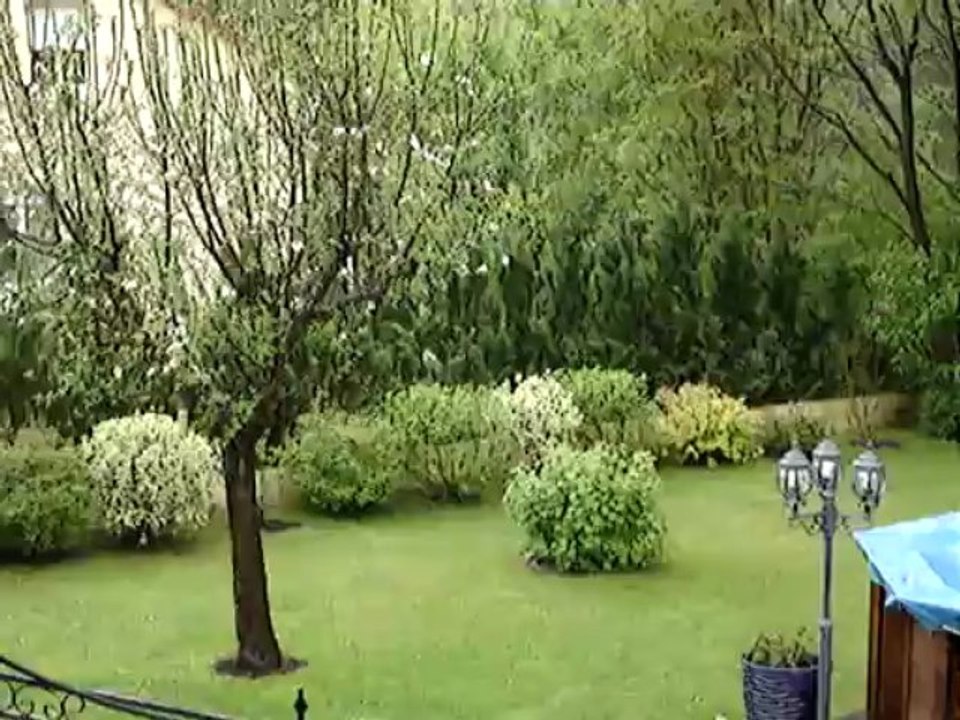 visite de Scrat sous la pluie