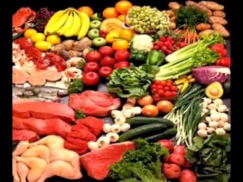 Paleo diet recipes and paleo meal plan