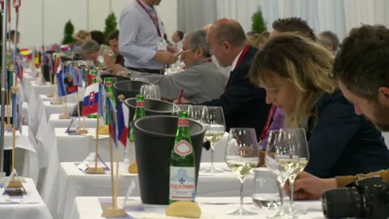 AFP_Concours Mondial in Bratislava