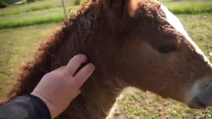 Diamant Deletoile pot de colle