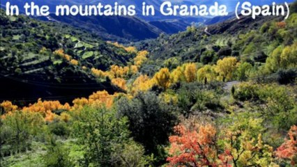 message to russell crowe