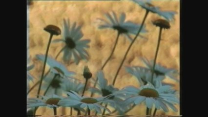 A BAS BRUIT - Bande-annonce VF