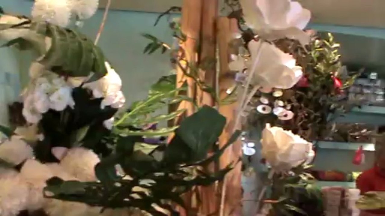 AIDAstella Hafen Reisebüro Fella  AIDAstella