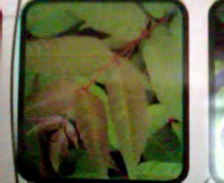 grand marabout voyant africain a Grenoble Mr.Abdel tel0687659941 Grenoble