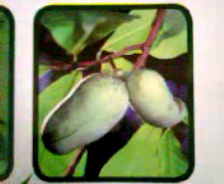 voyant a Grenoble marabout africain Mr Abdel Tel 0687659941 Grenoble france