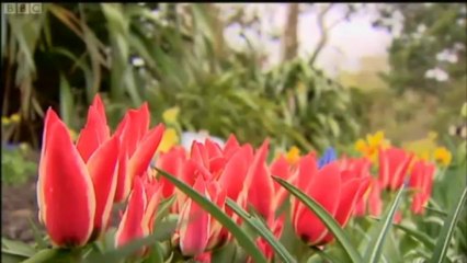 BBC Reporting Scotland - 15/5/13