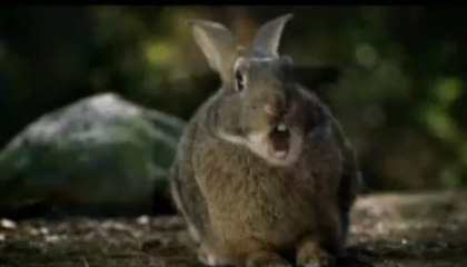 Publicité Bridgestone - "Scream" (2008)