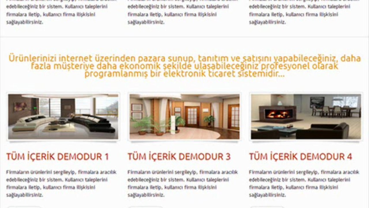 Hazır firma web sitesi, Firma Web Sitesi Tasarımı