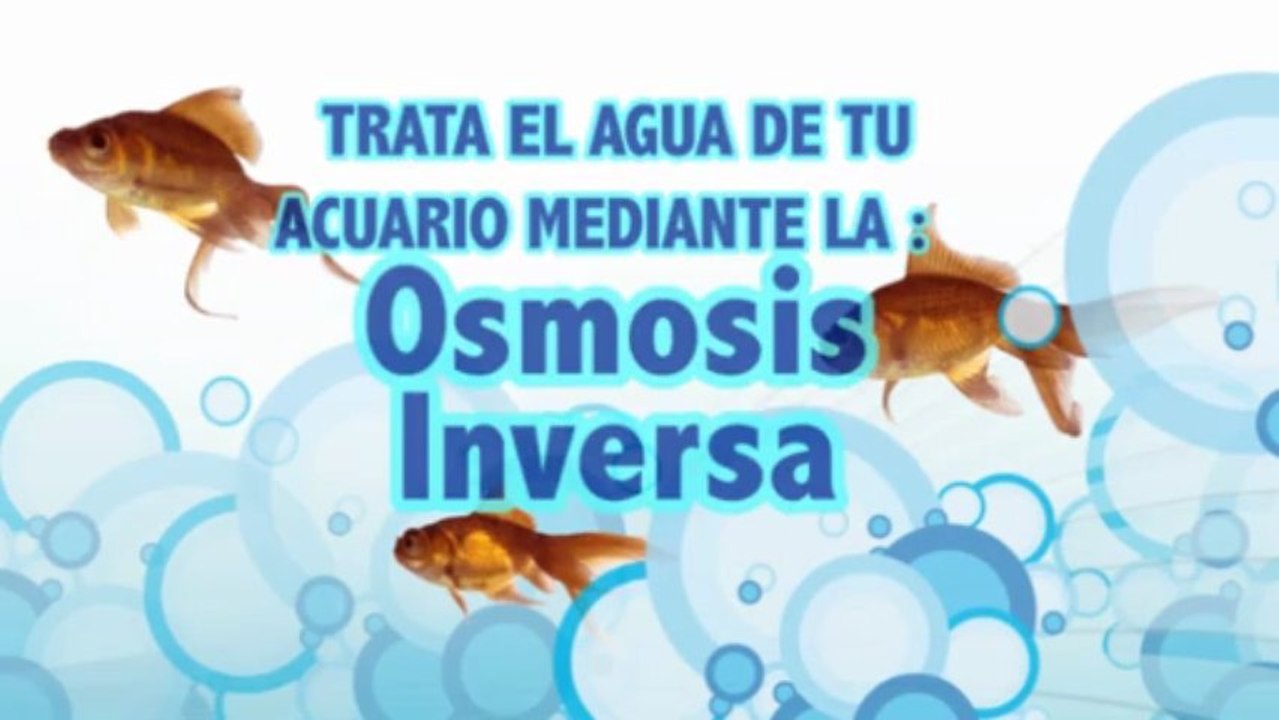 Hidrosalud, empresa dedicada al tratamiento del agua