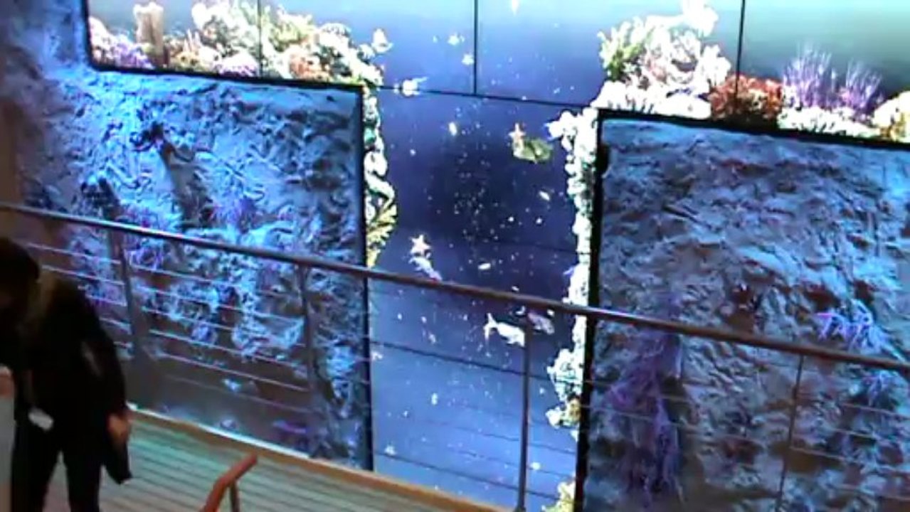 AIDAstella Hafen Reisebüro Fella  AIDAstella