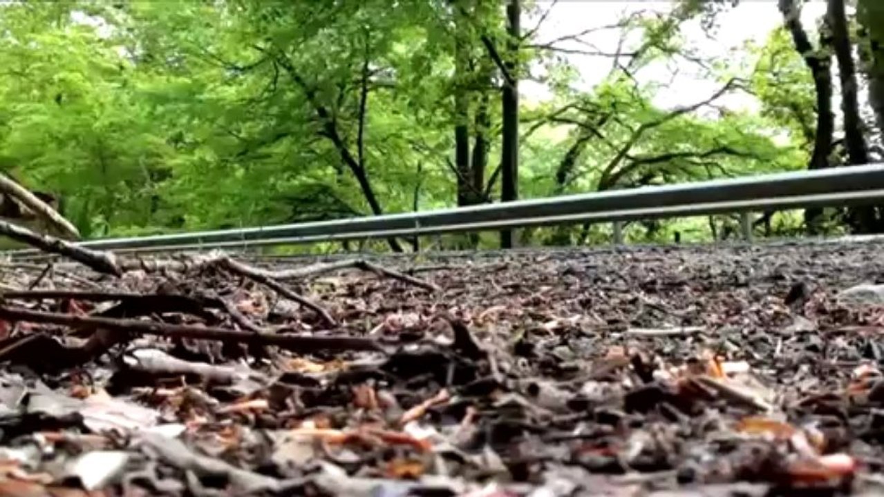 McLaren MP4-12C, de Woking à Monaco