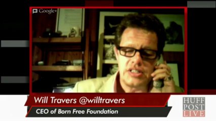 Fighting Poaching In Africa And Ivory In NY