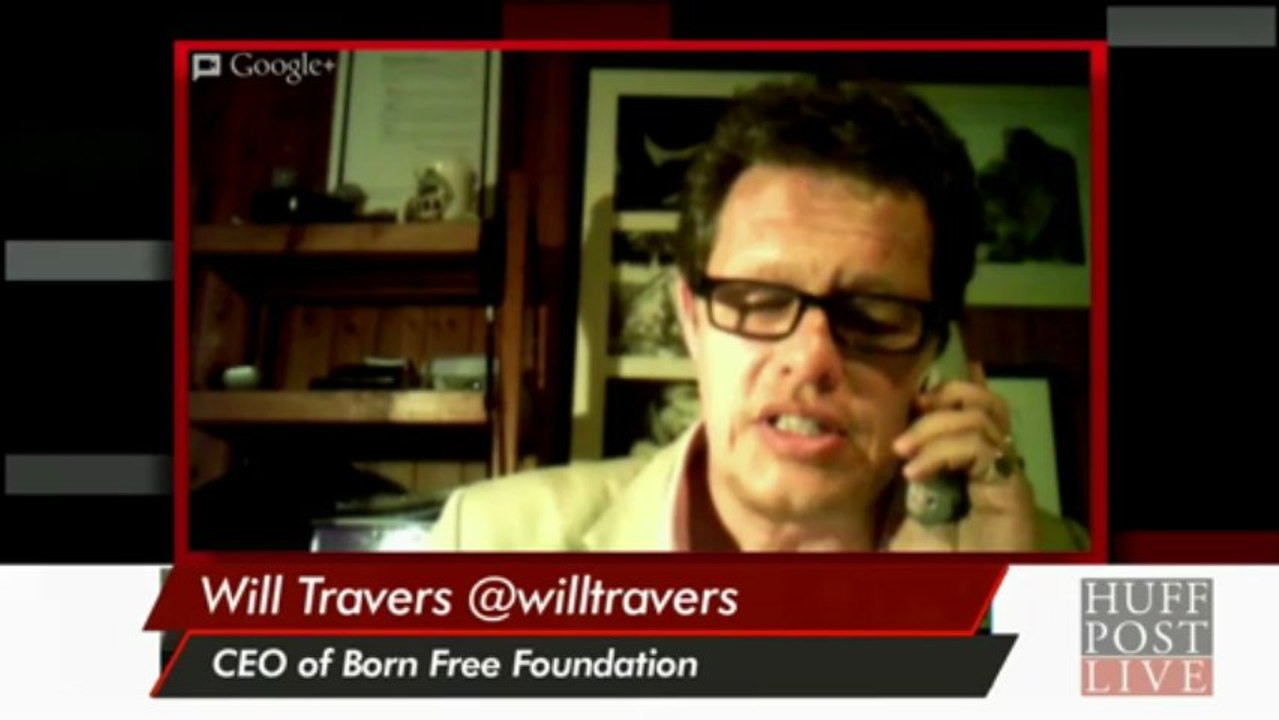 Fighting Poaching In Africa And Ivory In NY