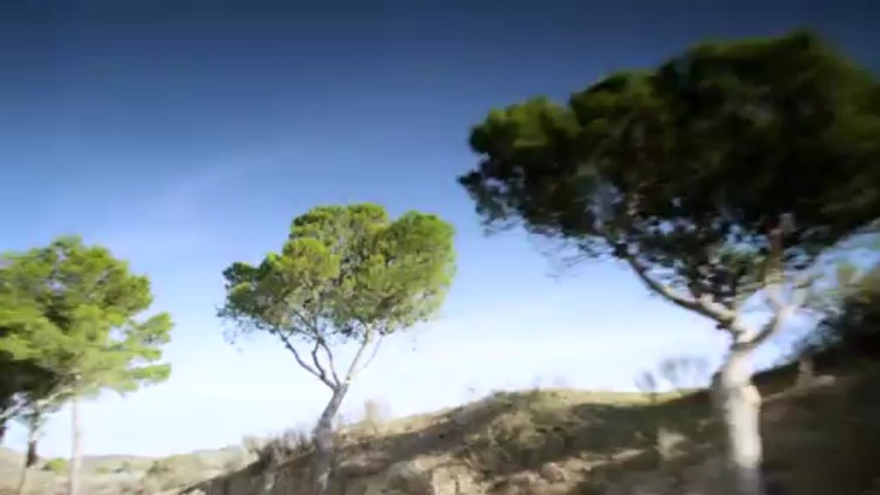 Trailer Mercedes E 63 AMG S4Matic