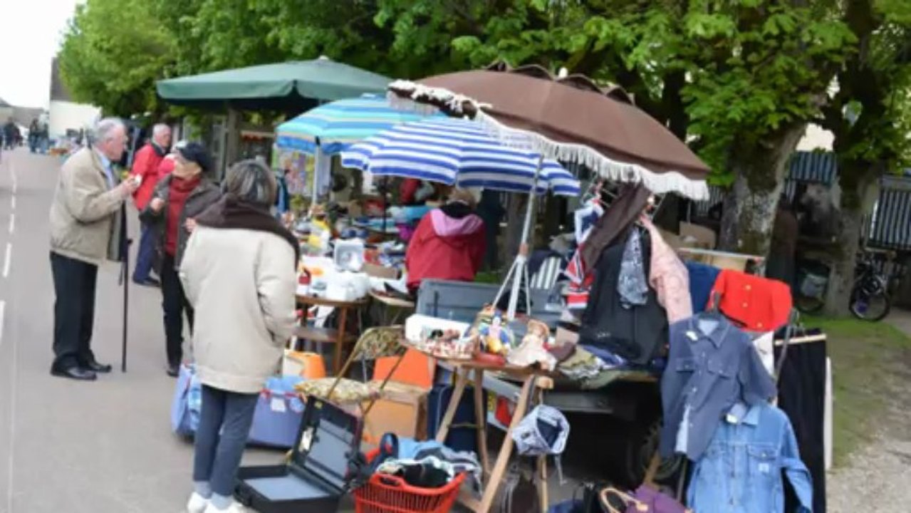 Diaporama de la fête des fleurs 2013 à Sougères