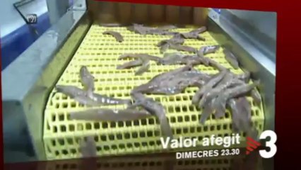 TV3 - Dimecres a les 23.30 - "Valor afegit" a TV3
