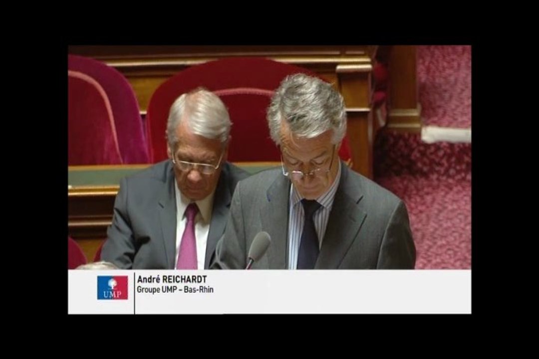 André Reichardt, Sénateur du Bas-Rhin : Surveillance des communications électroniques