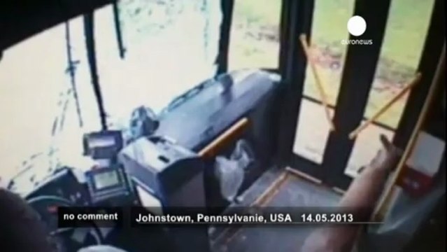 Pennsylvannie (Etats-Unis):Une biche... - no comment