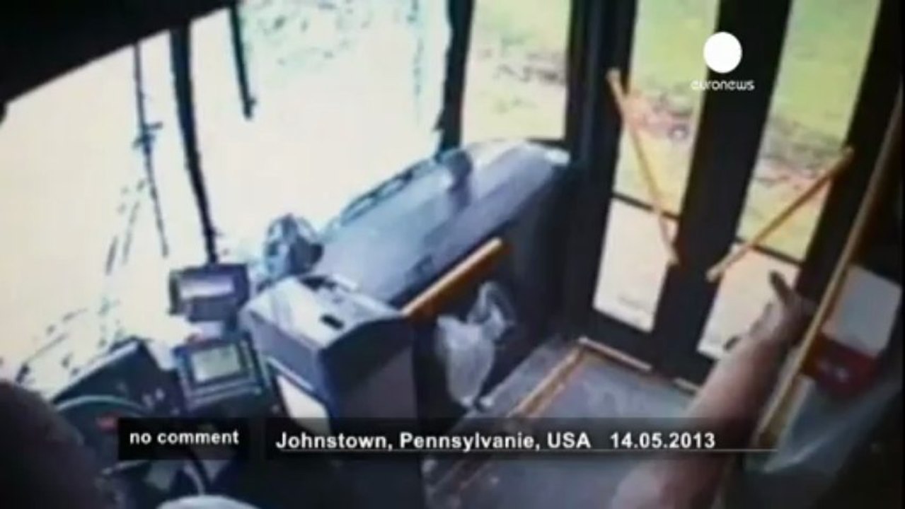 Pennsylvannie (Etats-Unis):Une biche... - no comment