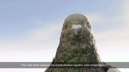 Oh crap! Sick pigeon shits everywhere