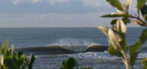 One Day at Cheeses 2013