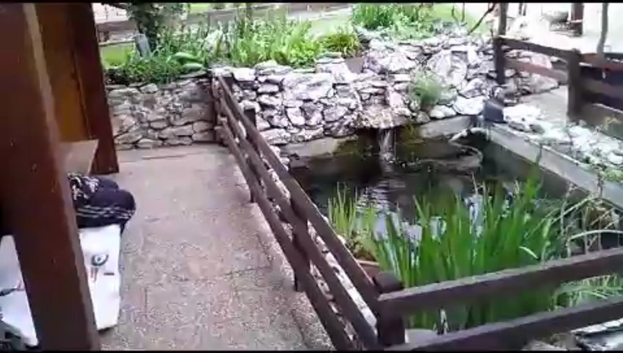 fly