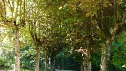 Villa de standing avec piscine et parc proche de Grenoble et du Golf d'Uriage