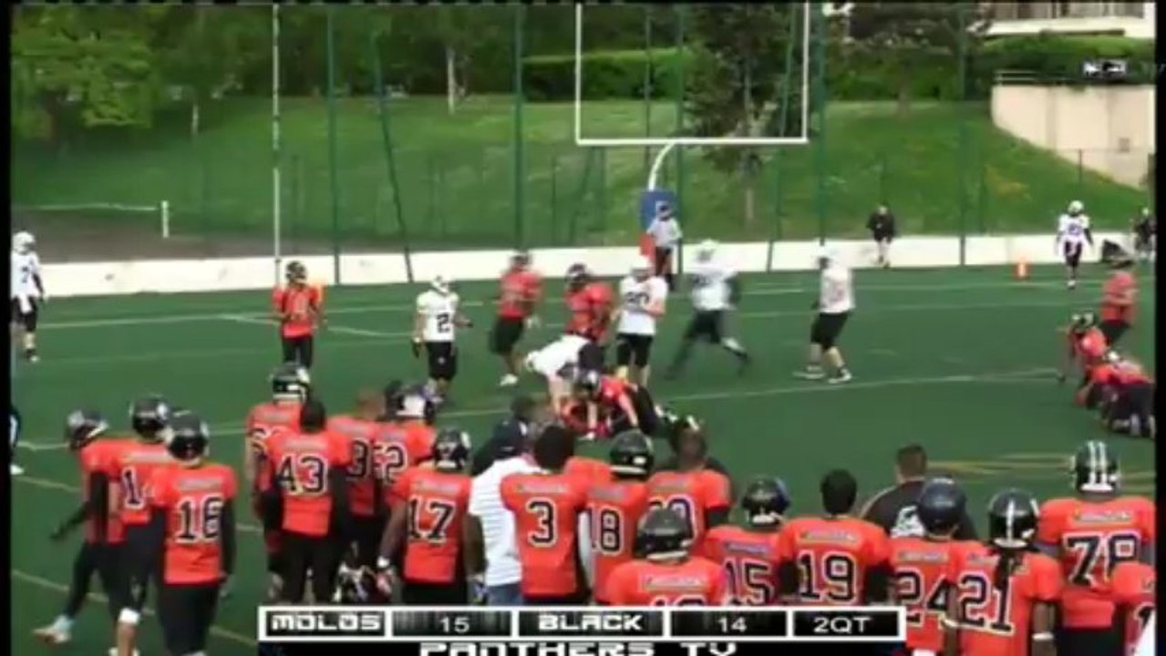 Journée 9 ELITE : Molosses vs Black Panthers (19/05/2013)