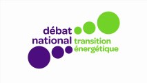 Le débat National sur la Transition Energétique en images