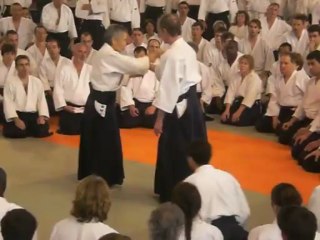 Tamura-sensei 2007 Colomiers 1