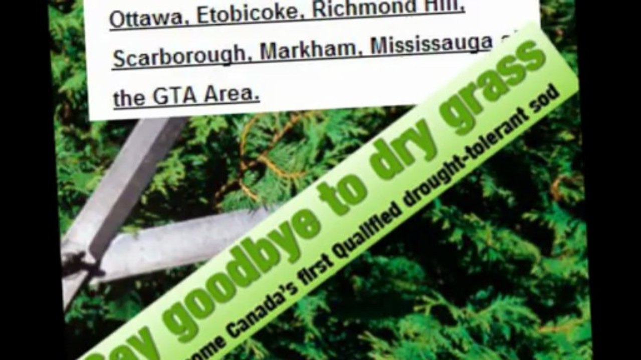 Ottawa Landscaping - Ottawa, Ontario