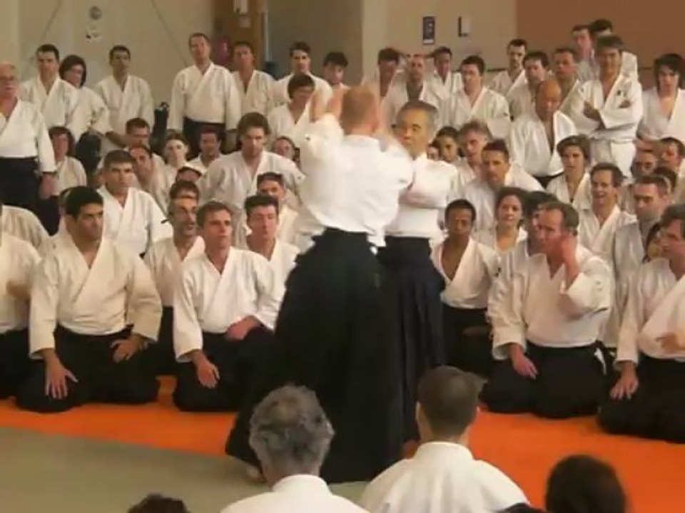 Tamura-sensei 2007 Colomiers 3