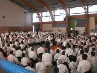 Tamura-sensei 2007 Colomiers 4