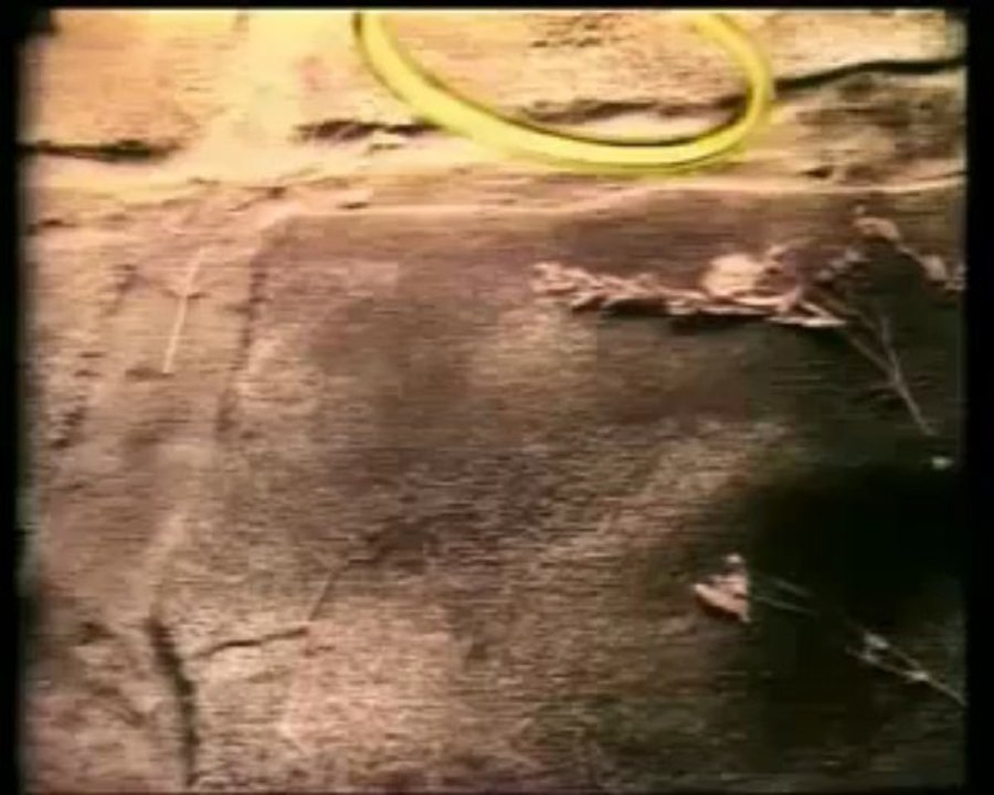 Monstres et Merveilles - Générique