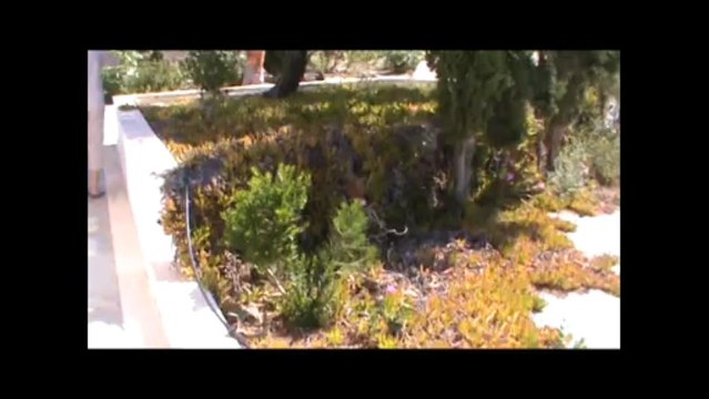 KretanVilla 3 Agia Fotia (Creta)