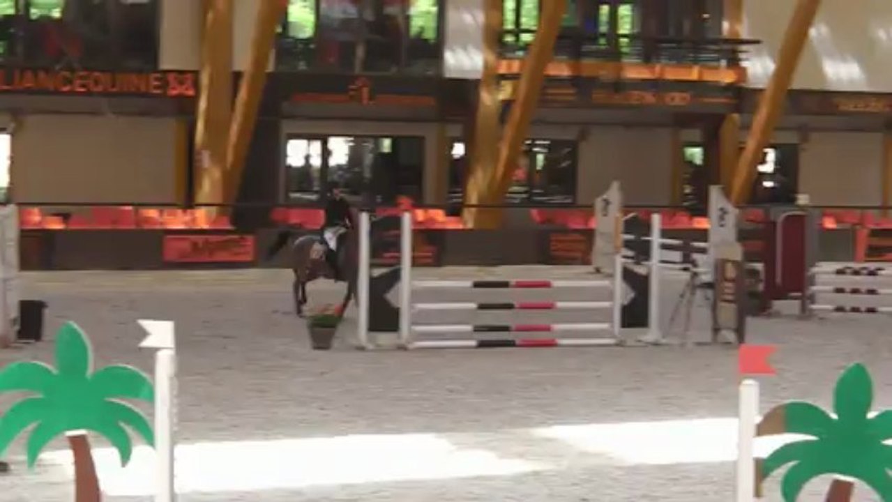 Ryzofora - Poney 1 (partie 2) - Le Mans