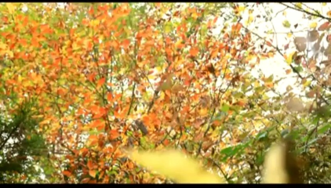 Osman Öztürk-Sev Dedin Sevmedim mi?