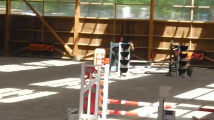 Ryzofora - Poney 1 (partie 1) - Le Mans