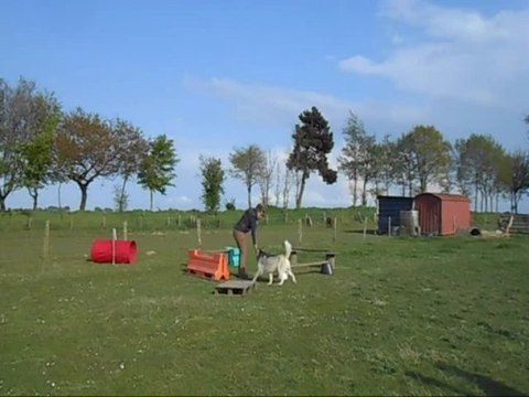 Tosca agility 16.05.13