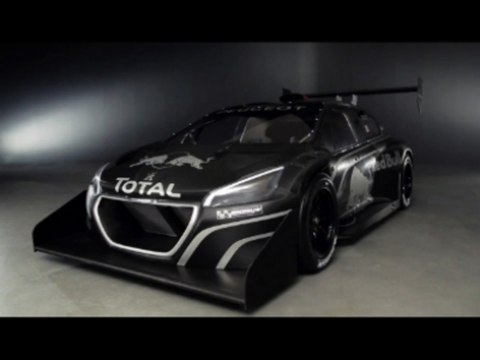 La Peugeot 206 T16 pour Pikes Peak