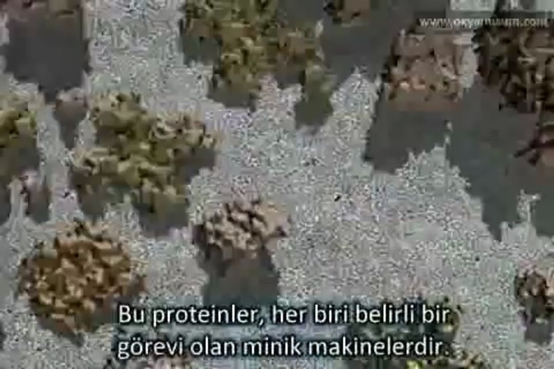 Nöronların ateşlenmesi - Hücrelerin dansı