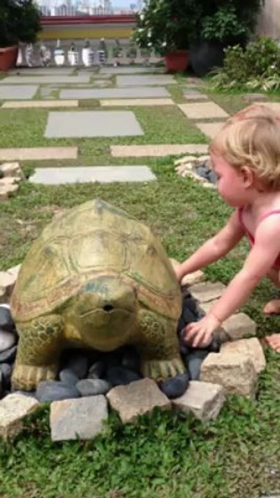 Les tortues