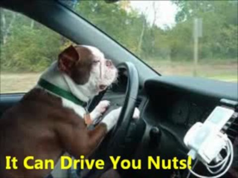 CB Surge - CB Analytics To Make You Money | CB Surge - CB Analytics To Make You Money