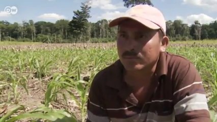 World Stories: International Reporters | World Stories