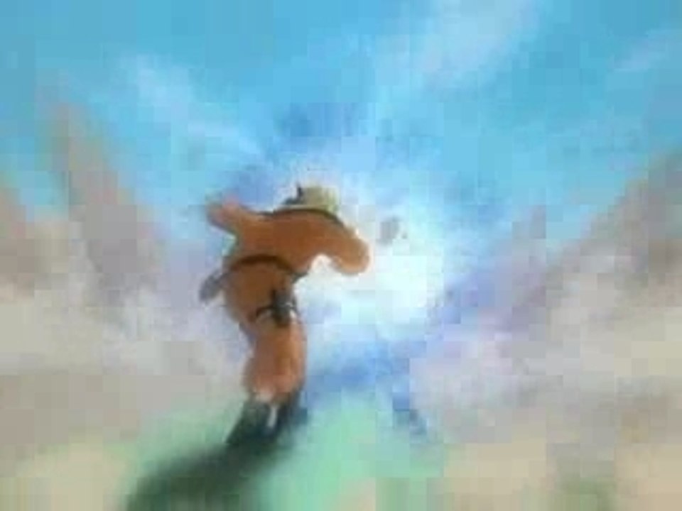 Combat de sanin