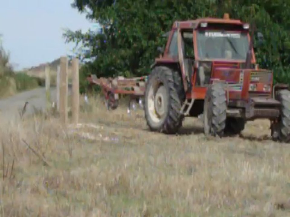 déchaumage fiat 980 DT