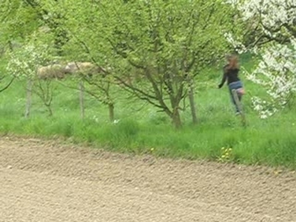 La chasse au moutons